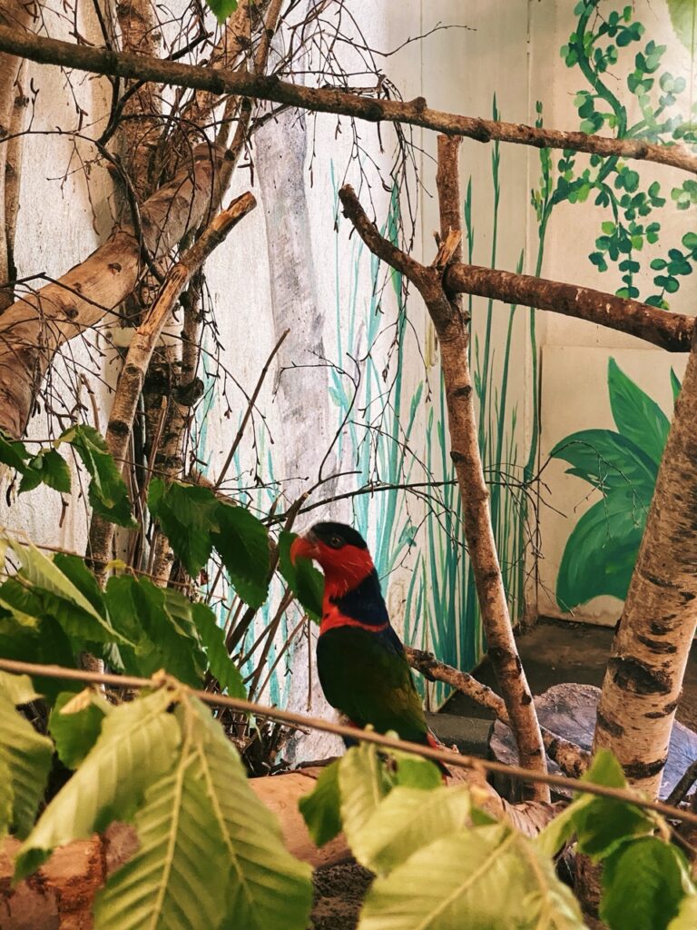 Gdansk poland Zoo