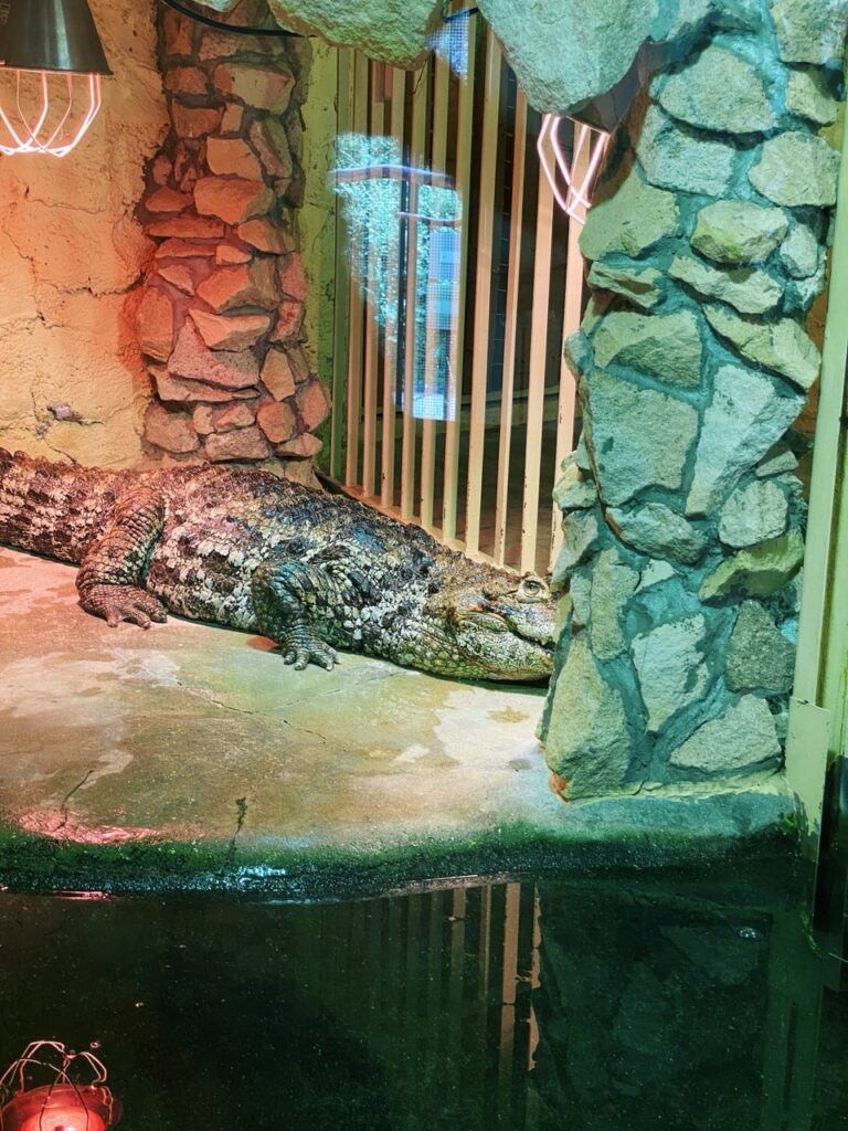 Gdansk poland Zoo
