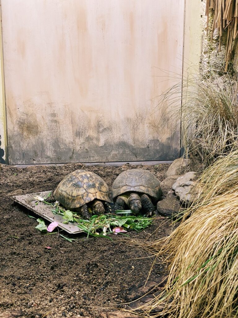 Gdansk poland Zoo