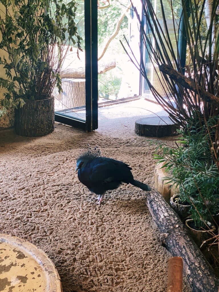 Gdansk poland Zoo