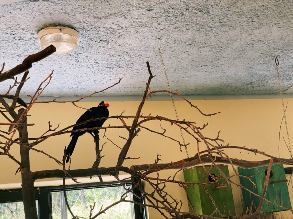 Gdansk poland Zoo