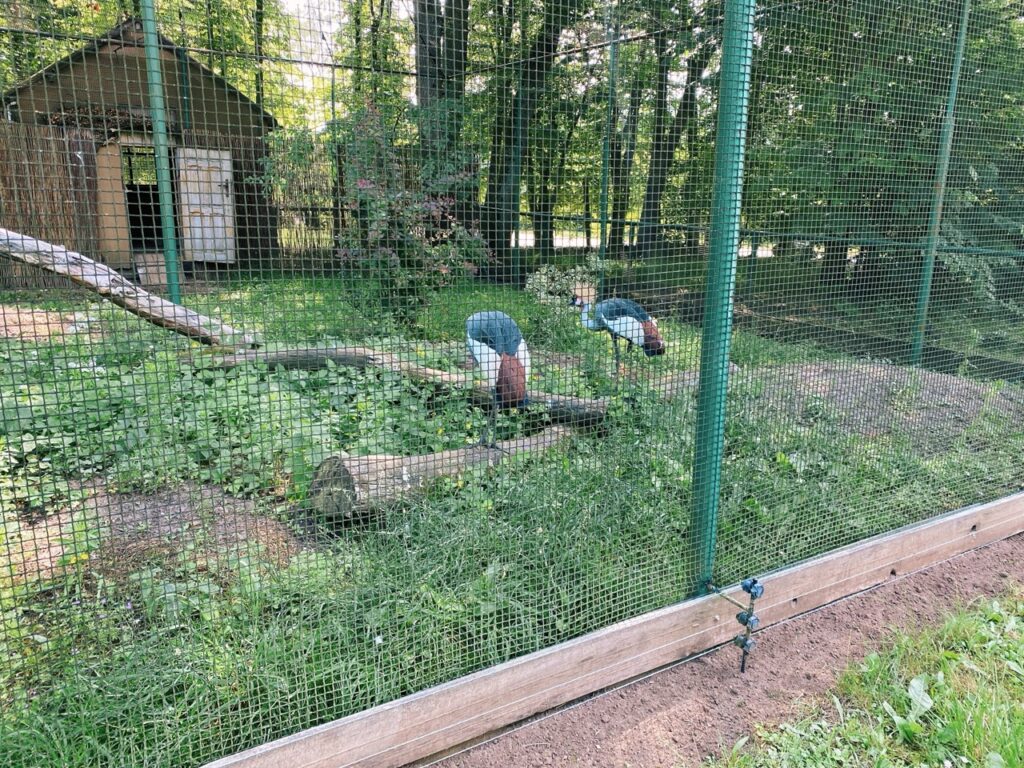 Gdansk poland Zoo