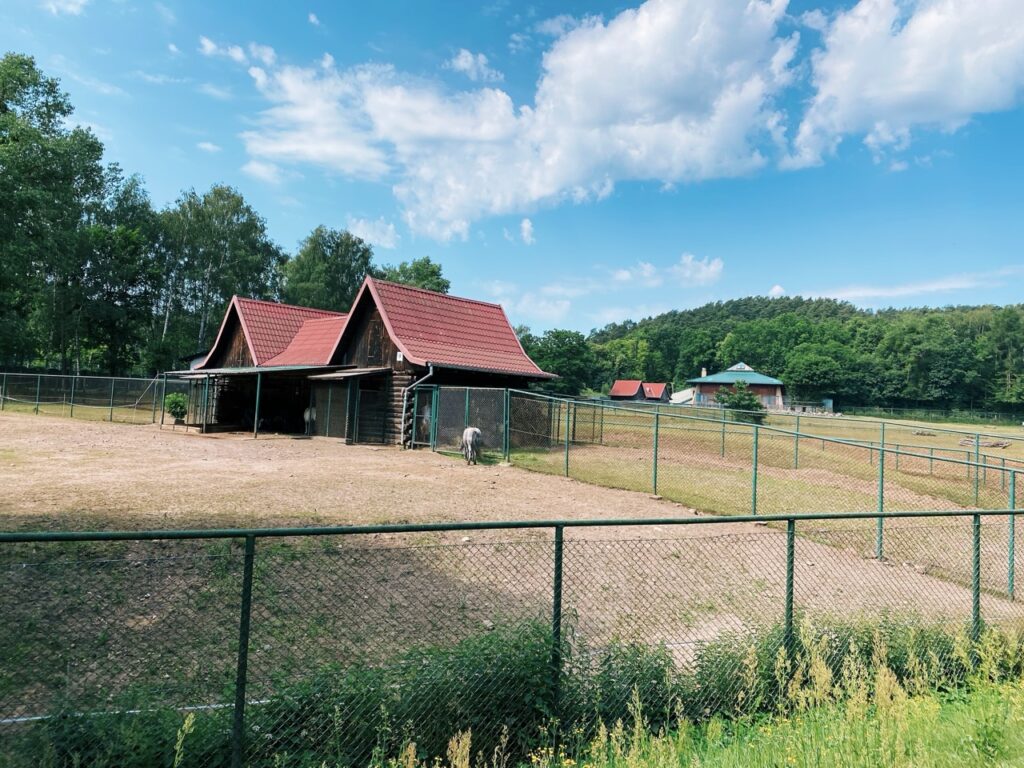 Gdansk poland Zoo
