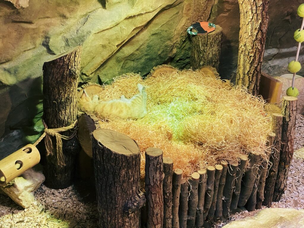 Gdansk poland Zoo