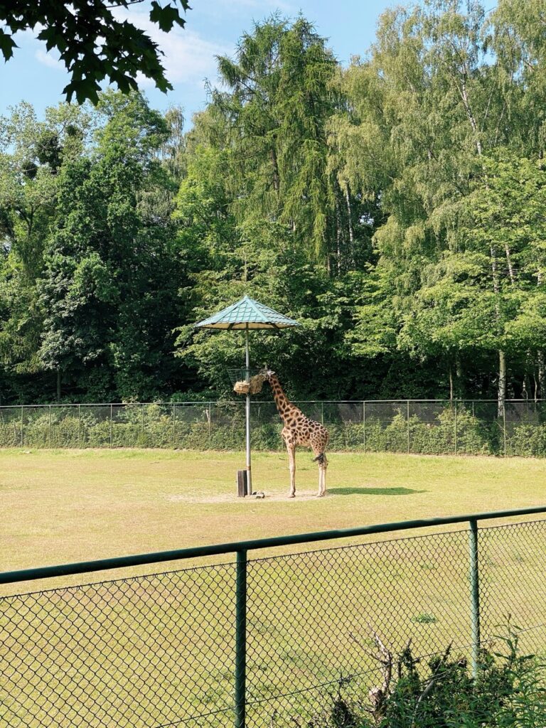 Gdansk poland Zoo