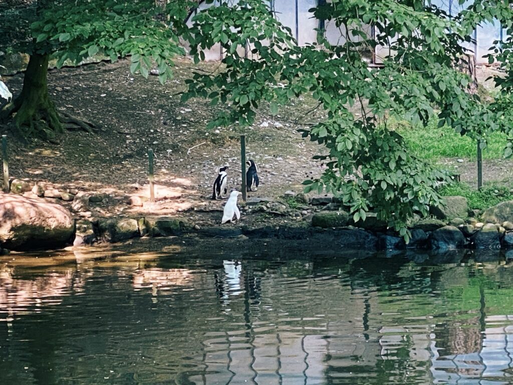 Gdansk poland Zoo