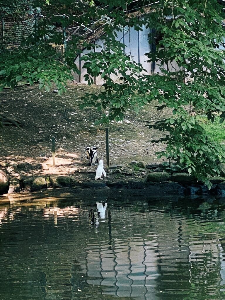 Gdansk poland Zoo