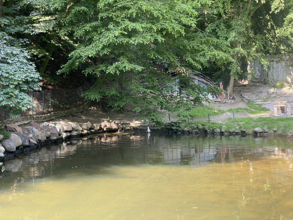 Gdansk poland Zoo