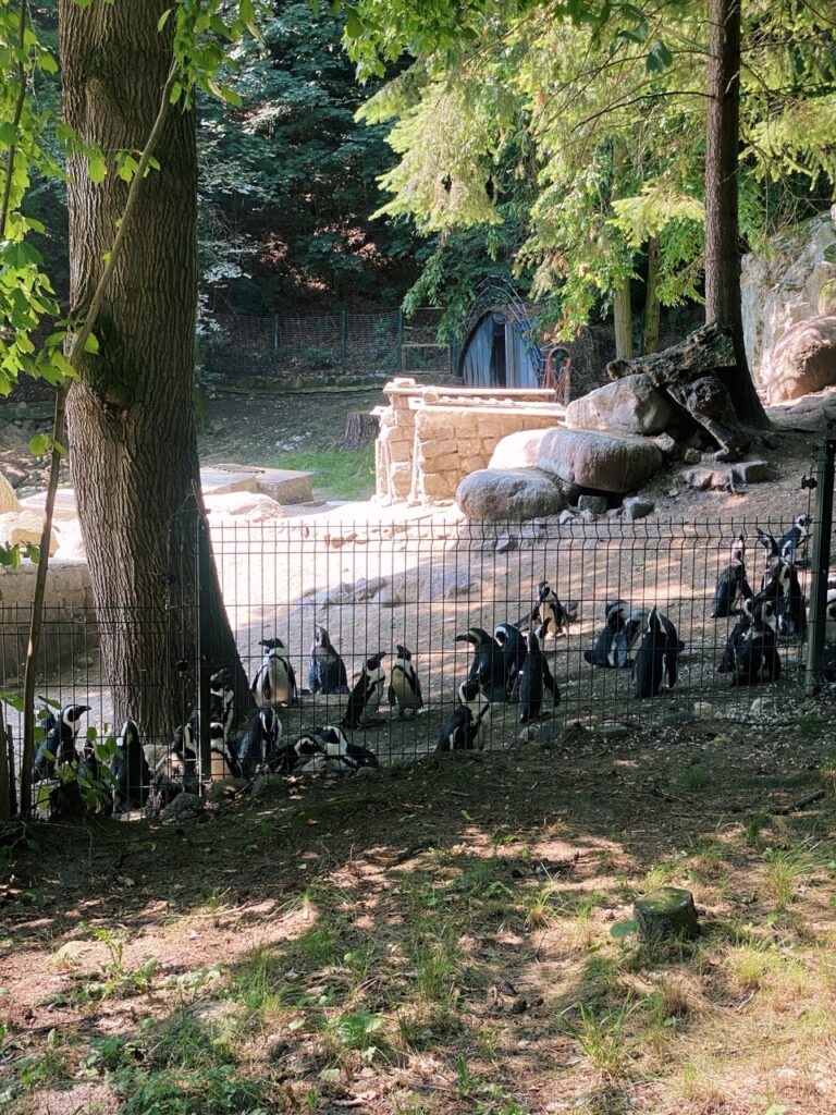 Gdansk poland Zoo