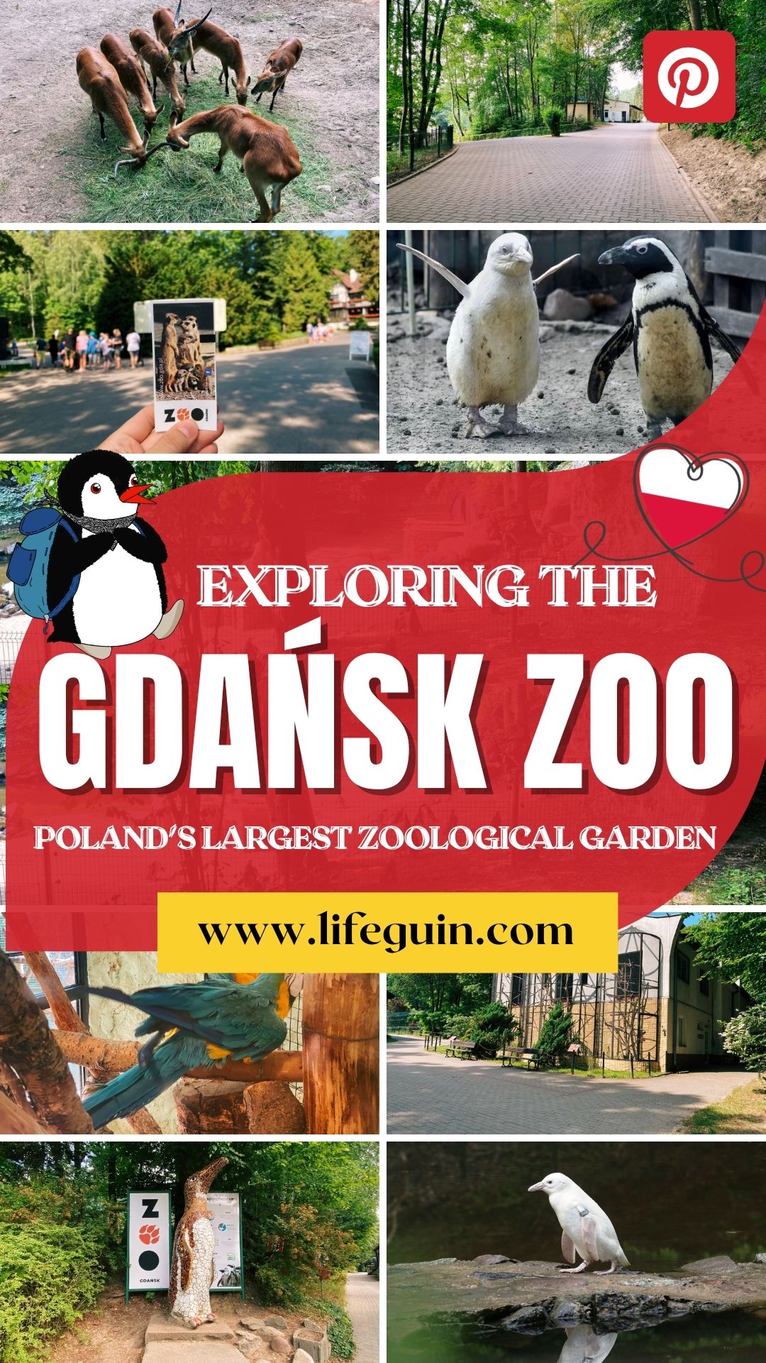Gdańsk Zoo: Poland's Largest Zoological Garden – follow Lifeguin on Pinterest