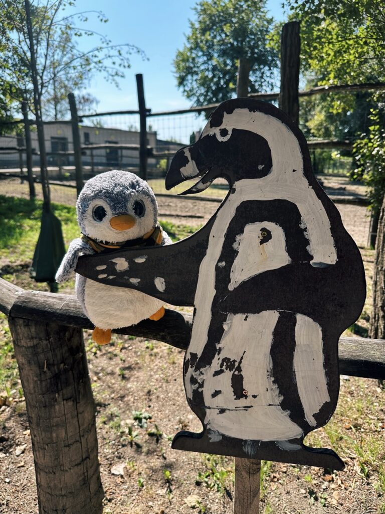 Gyor Zoo Hungary