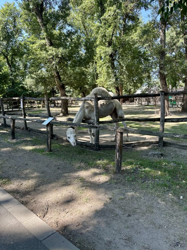 Gyor Zoo Hungary