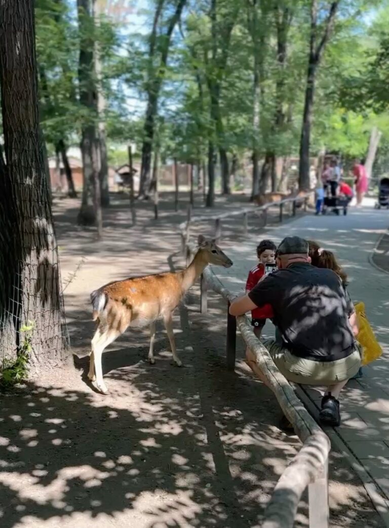 Gyor Zoo Hungary