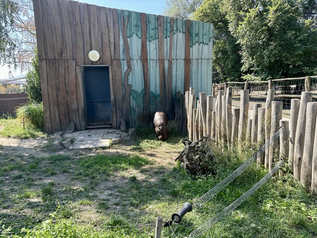 Gyor Zoo Hungary