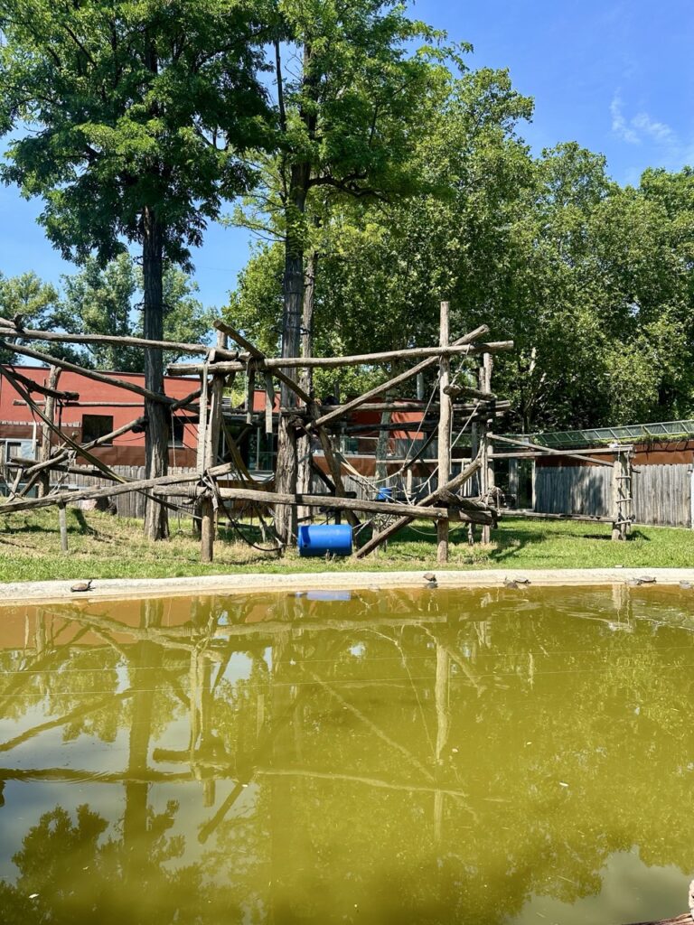 Gyor Zoo Hungary