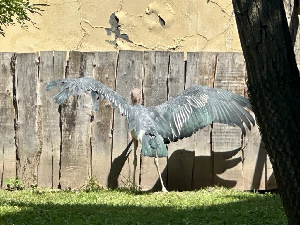 Gyor Zoo Hungary