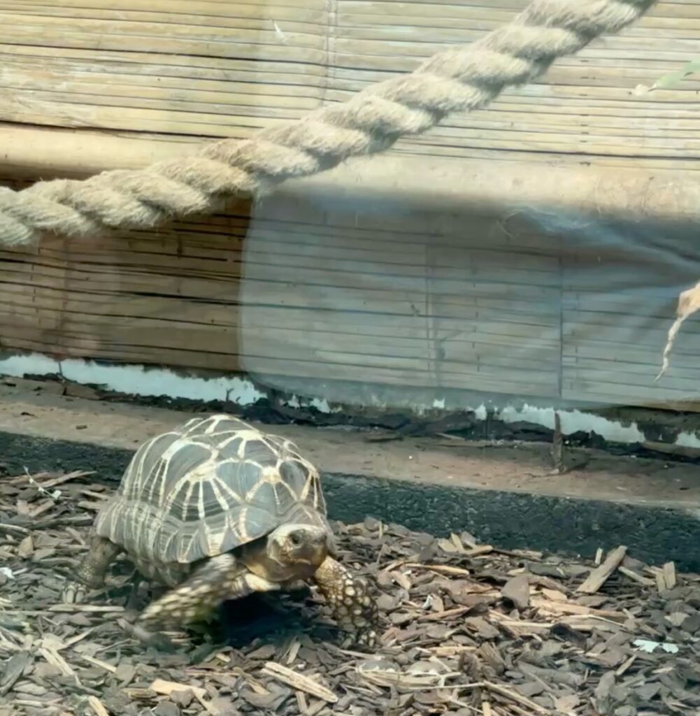 Gyor Zoo Hungary