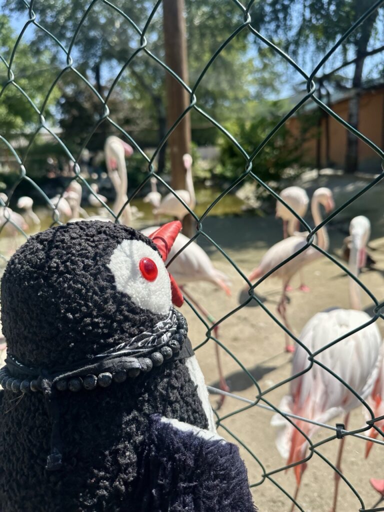 Gyor Zoo Hungary