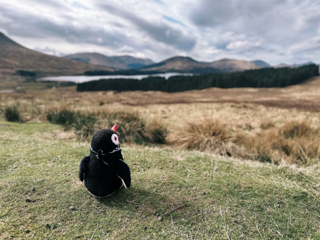 Highlands scotland