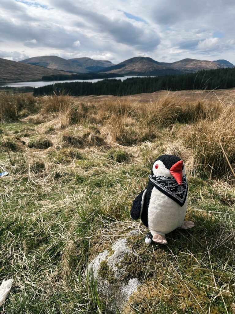 Highlands scotland