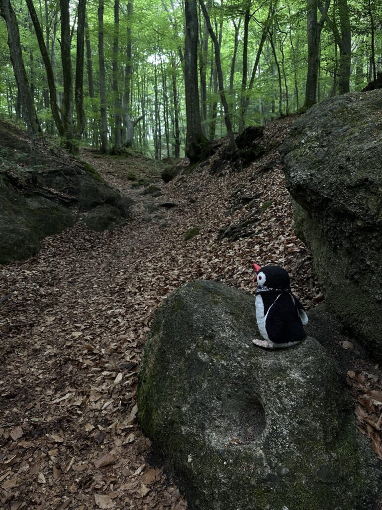 Hiking sulovske Skaly slovakia