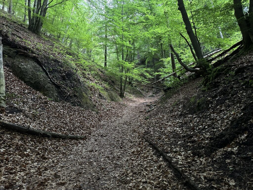 Hiking sulovske Skaly slovakia