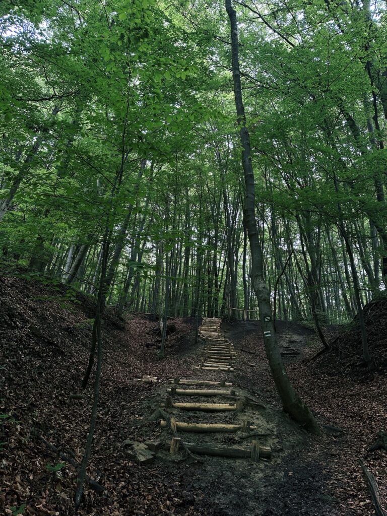 Hiking sulovske Skaly slovakia