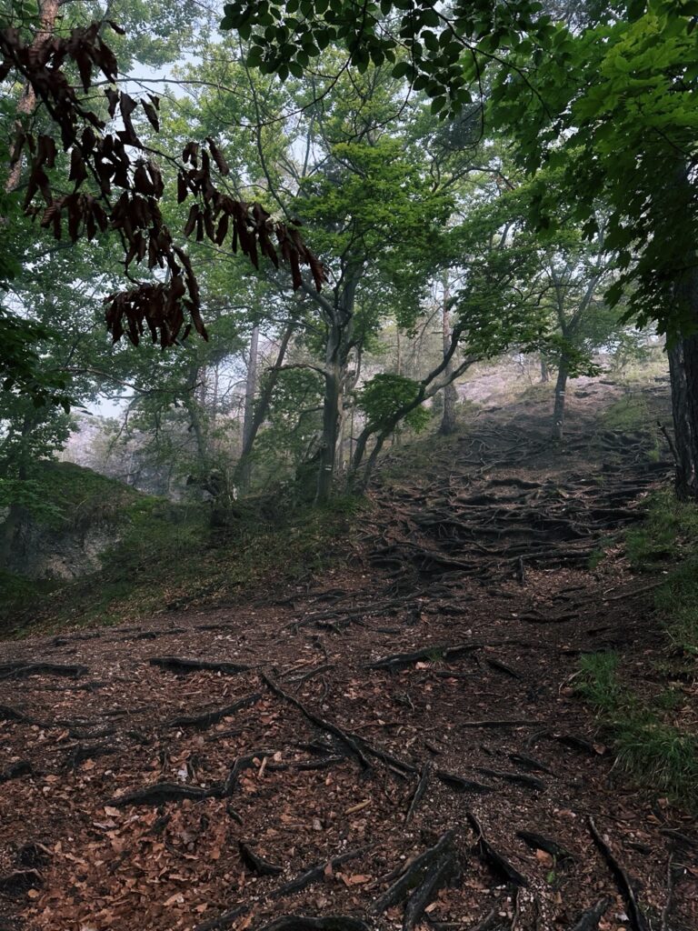 Hiking sulovske Skaly slovakia
