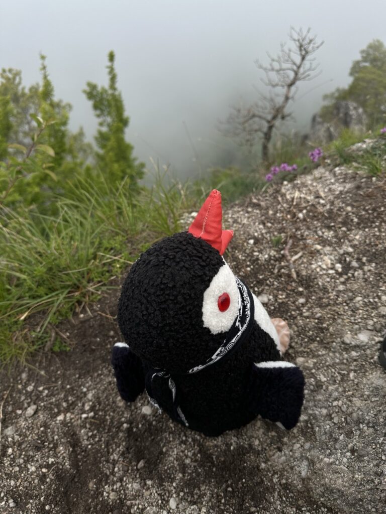 Hiking sulovske Skaly slovakia