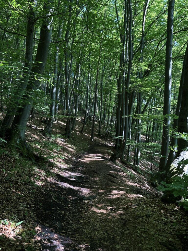 Hiking sulovske Skaly slovakia