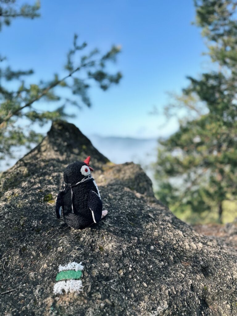 Hiking sulovske Skaly slovakia