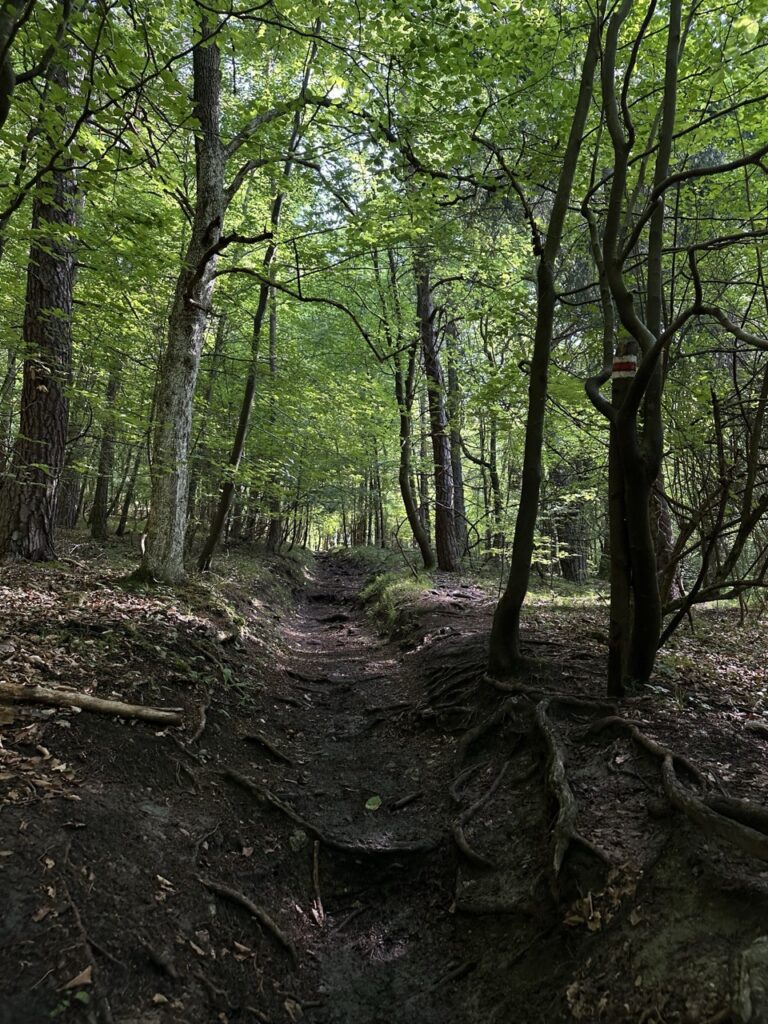 Hiking sulovske Skaly slovakia