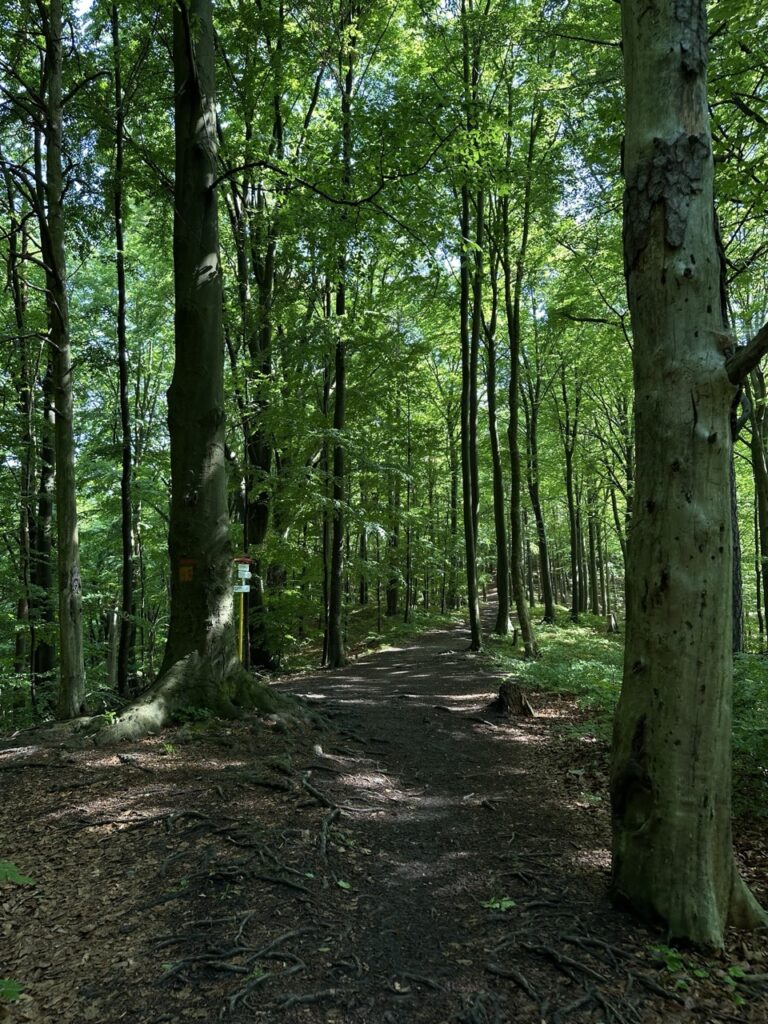 Hiking sulovske Skaly slovakia