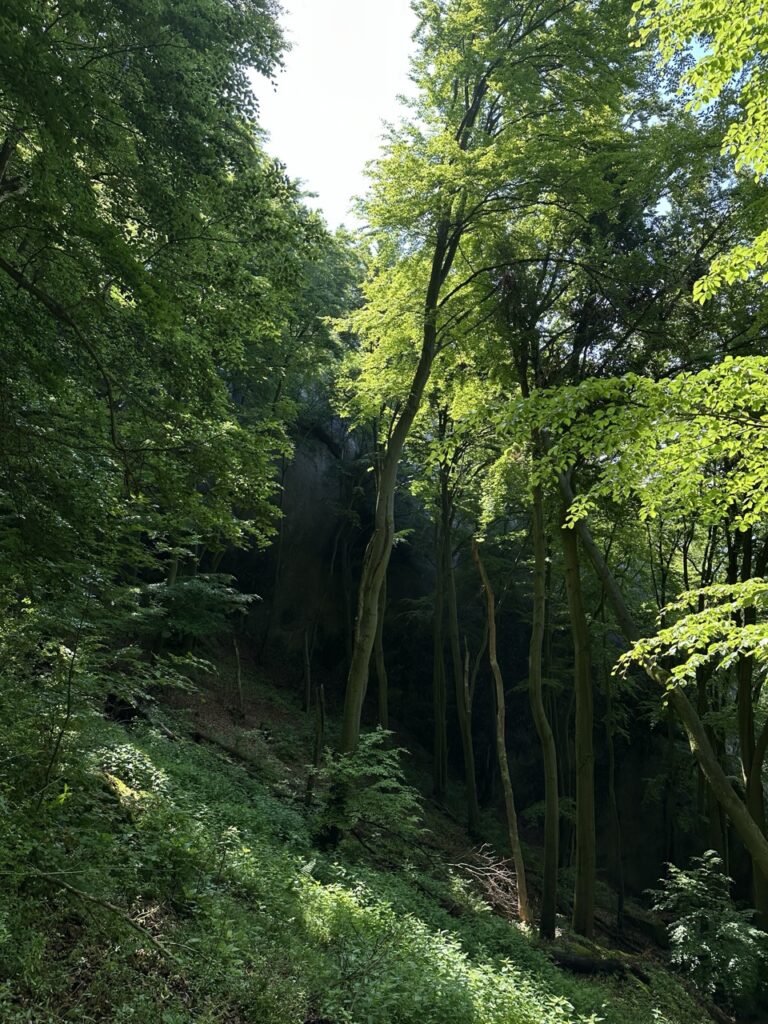 Hiking sulovske Skaly slovakia