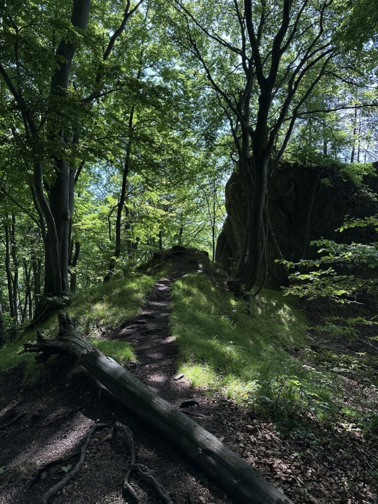 Hiking sulovske Skaly slovakia
