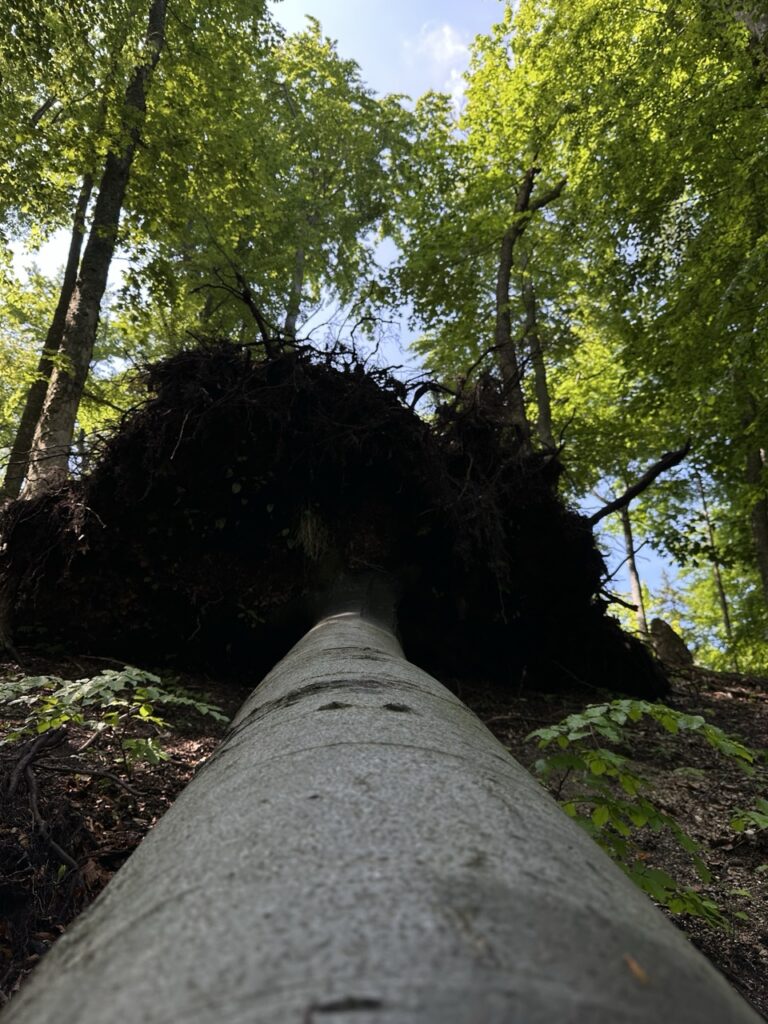 Hiking sulovske Skaly slovakia