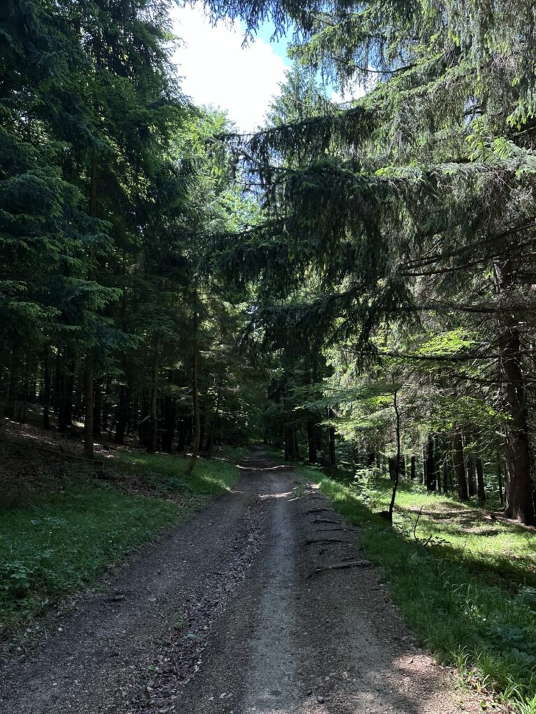 Hiking sulovske Skaly slovakia