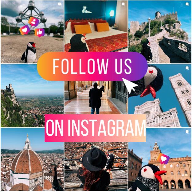Follow Miško the penguin on Instagram