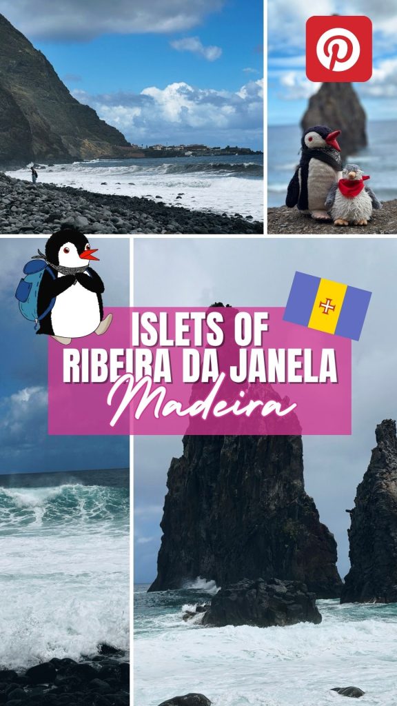 Pinterest graphic promoting Islets of Ribeira da Janela in Madeira featuring Miško penguin plushies