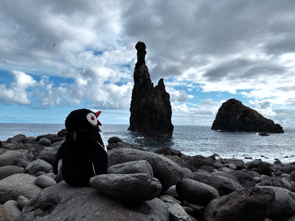 Janela rock formations madeira