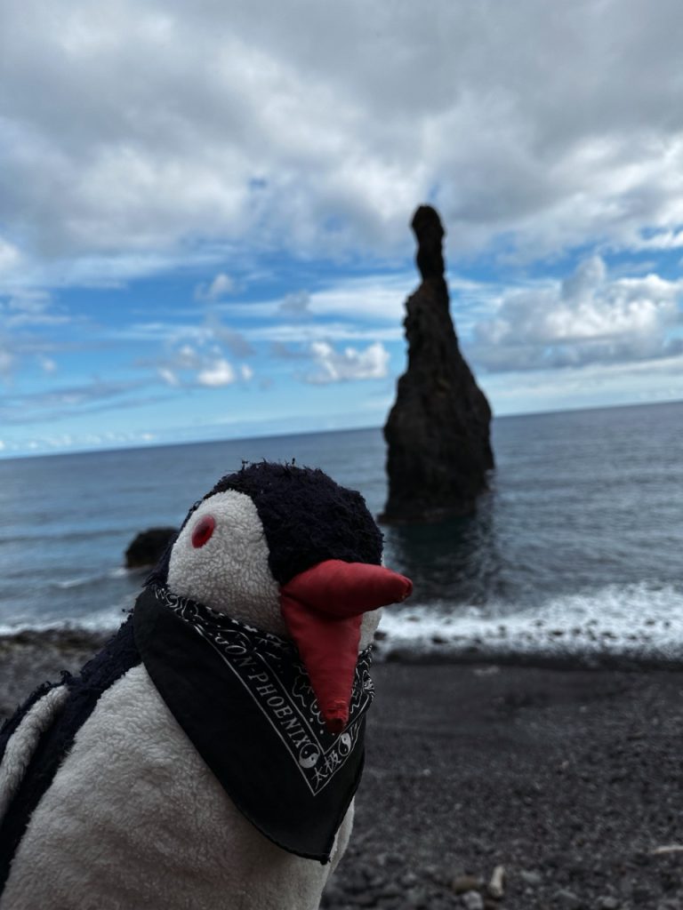 Janela rock formations madeira