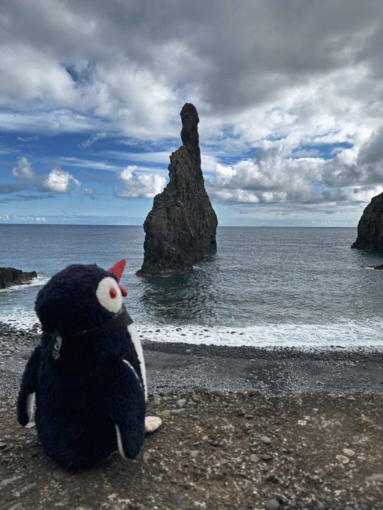 Janela rock formations madeira