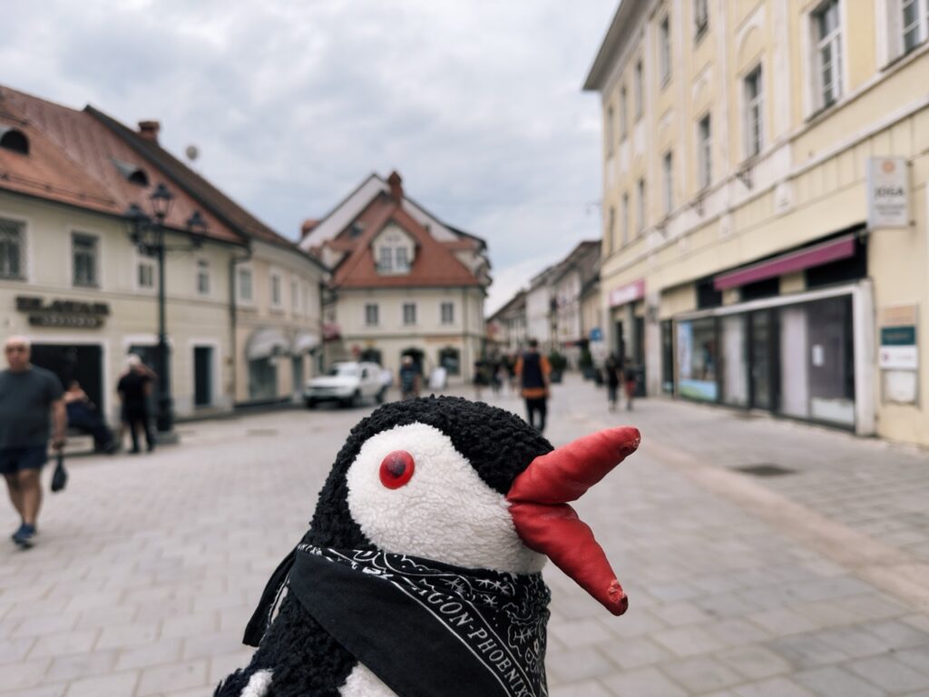 Kranj slovenia