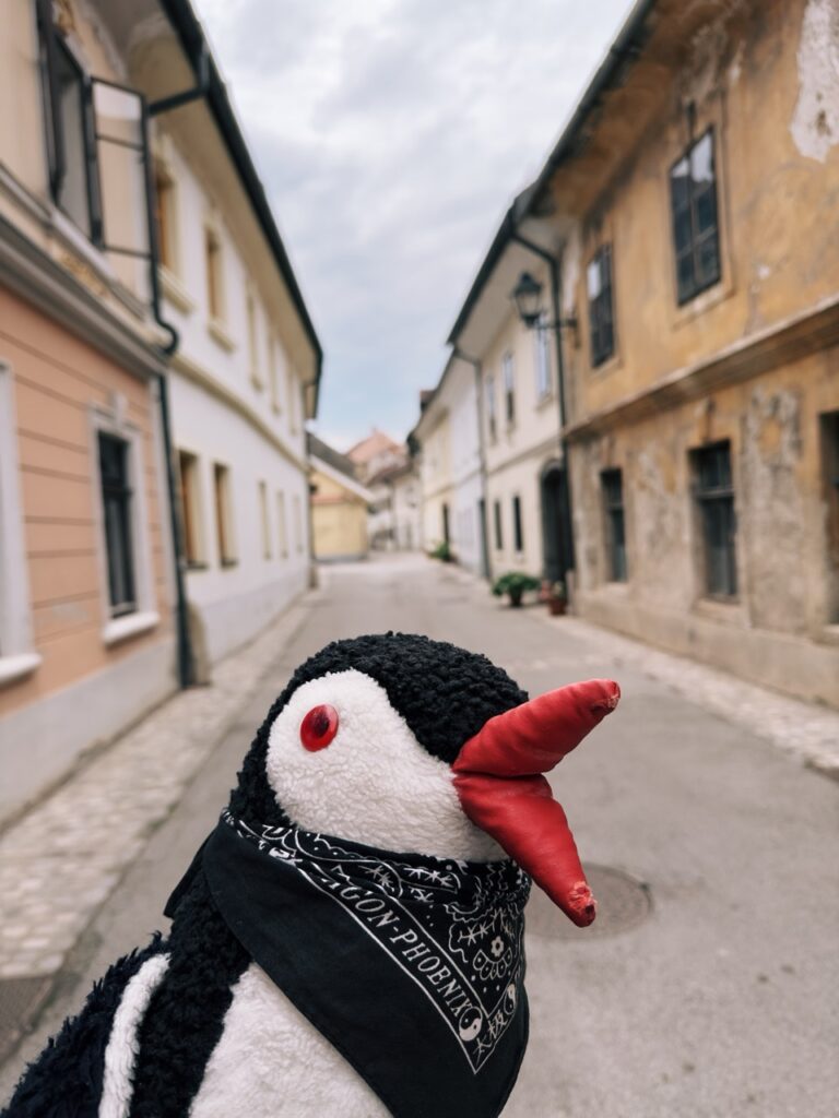 Kranj slovenia