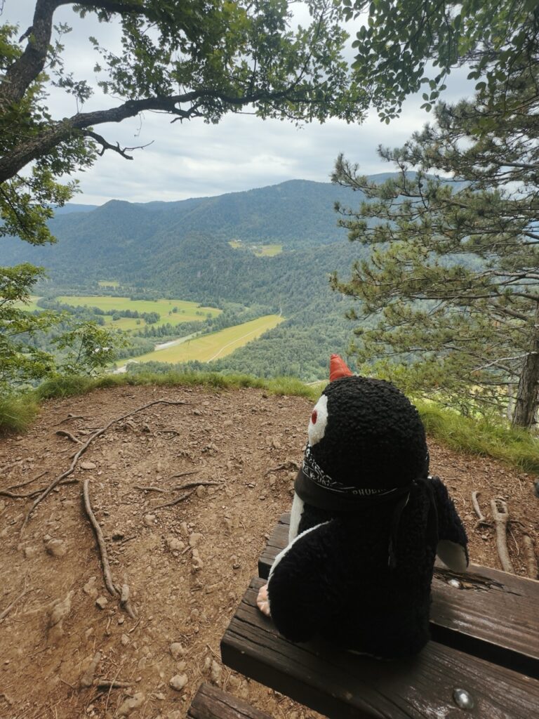 Lake Bled best viewpoint