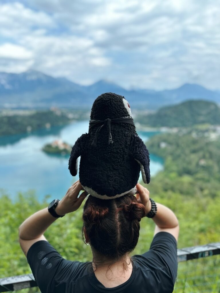 Lake Bled best viewpoint