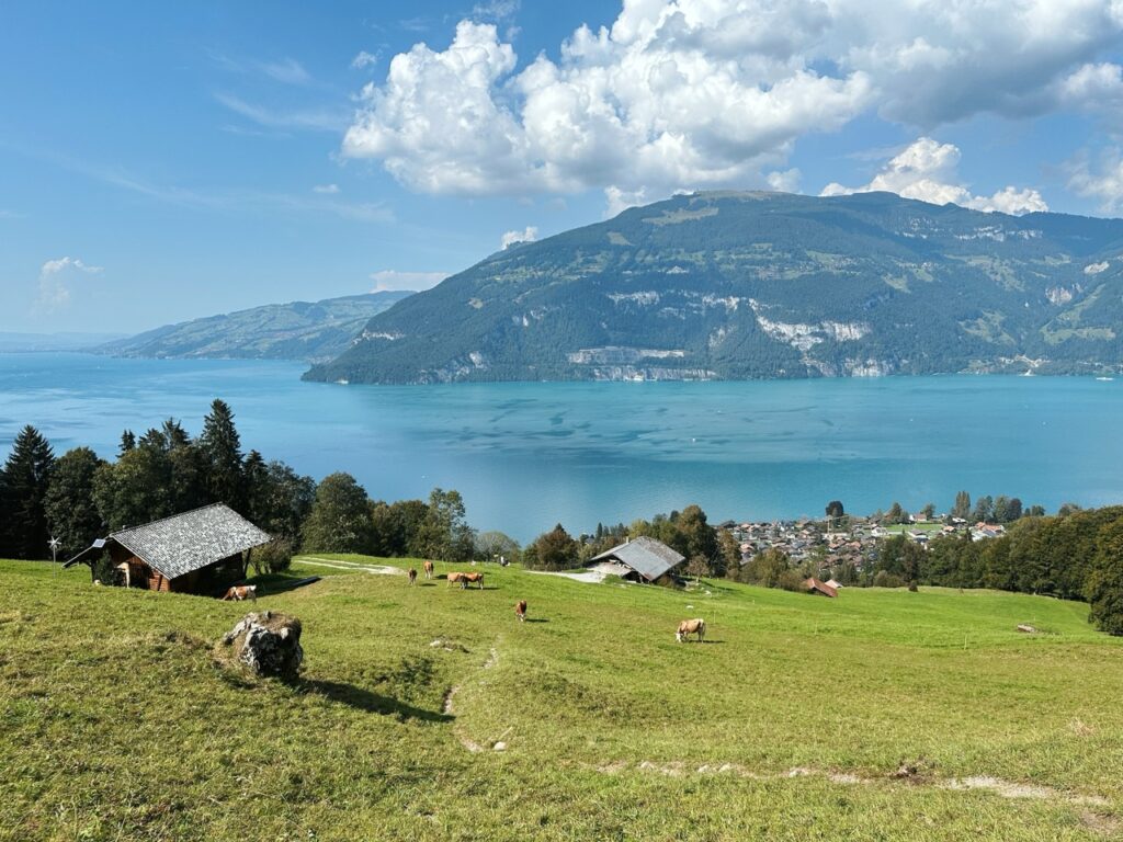 Lake thun Switzerland