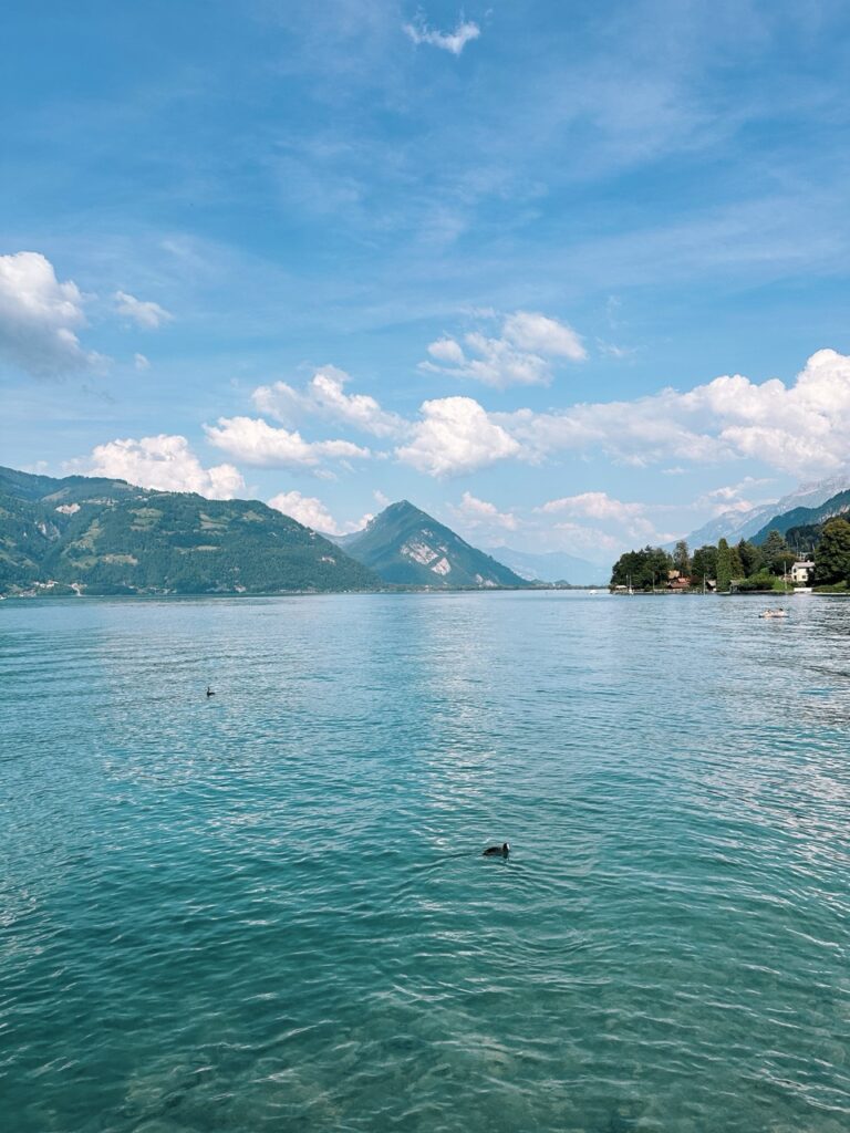 Lake thun Switzerland
