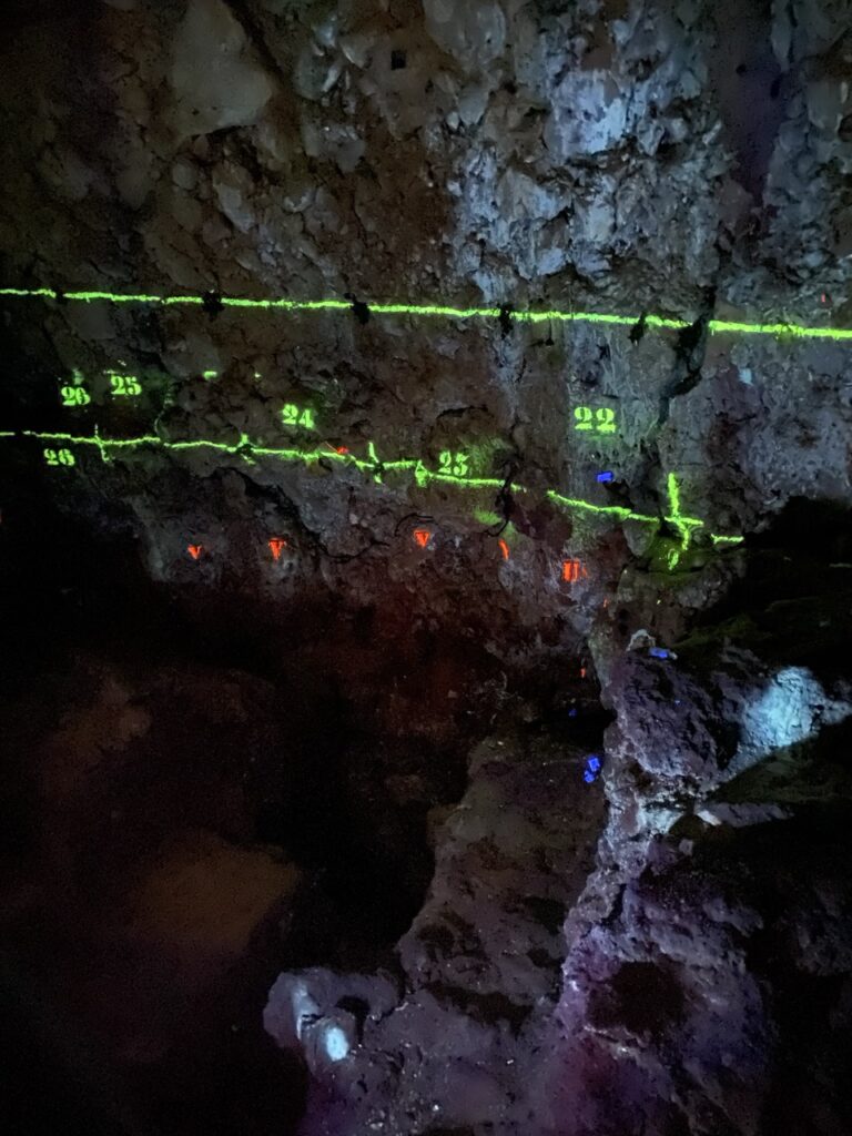 Lazaret Cave Nice france