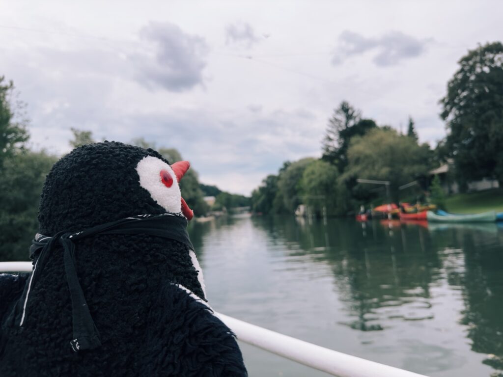 Ljubljana boat ride slovenia Marshes